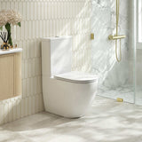 DIANA Back-to-Wall Toilet Suite