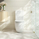 DIANA Back-to-Wall Toilet Suite