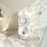DIANA Back-to-Wall Toilet Suite
