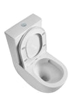 DIANA Back-to-Wall Toilet Suite