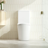 FIFA Back-to-Wall Toilet Suite