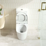 FIFA Back-to-Wall Toilet Suite