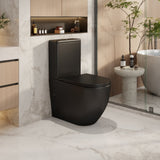 Norton Back-to-Wall Toilet Suite