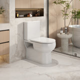 Milana Back To Wall Toilet Suite