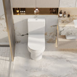 Milana Back To Wall Toilet Suite