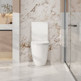 Hani Back-To-Wall Toilet Suite