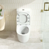 OXFORD Back-to-Wall Toilet Suite