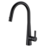 Coral II Pull Out Kitchen Sink Mixer - Matt Black