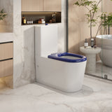 Pani Care-Accessible Back-to-Wall Toilet