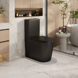 Pani Back-to-Wall Toilet Suite