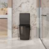 Pani Back-to-Wall Toilet Suite