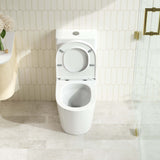 RIVO Back-to-Wall Toilet Suite