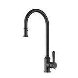 Birmingham II Deluxe Pull Out Sink Mixer - Matt Black