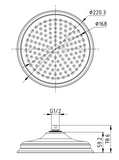 Birmingham Shower Head 200mm -Brushed Gold