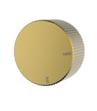 Coco Progressive Wall Mixer - Brushed Gold